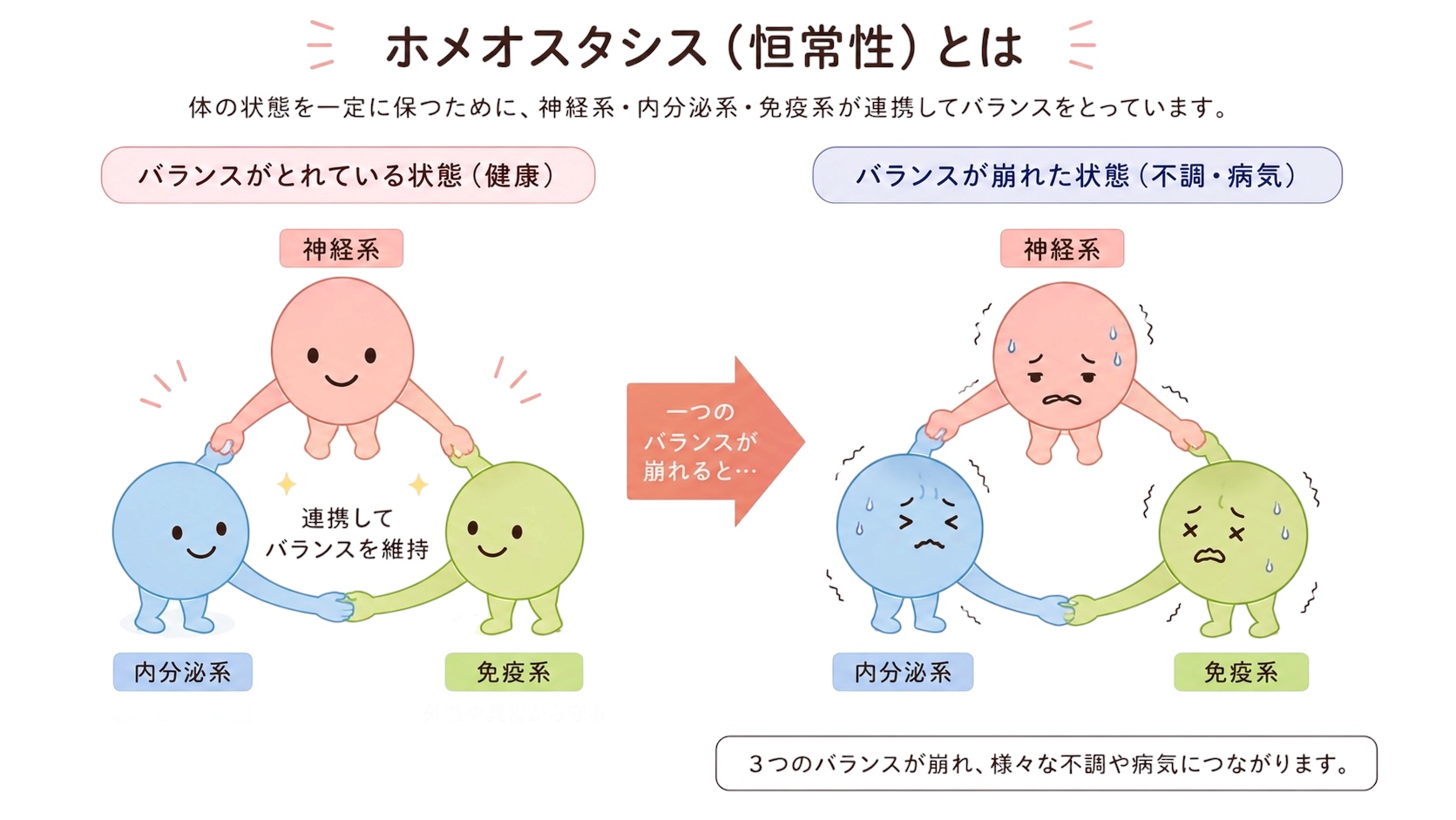恒常性の図解